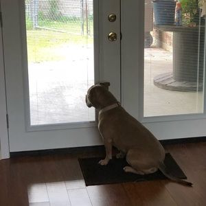 Meet your Posher, Joyce